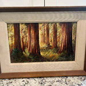 Sunlit Redwoods by E. H. La Velle